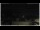 Webcam in Campora San Giovanni, 18 mi away