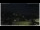 Webcam in Campora San Giovanni, 16.9 km