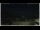 Webcam in Campora San Giovanni, 16.9 km