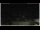 Webcam in Campora San Giovanni, 1.6 mi away