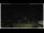 Webcam in Campora San Giovanni, 7.5 mi away
