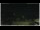 Webcam in Campora San Giovanni, 21.7 km