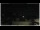 Webcam in Campora San Giovanni, 15.9 mi away