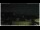 Webcam in Campora San Giovanni, 41.6 km