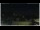 Webcam in Campora San Giovanni, 15.9 mi away