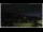 Webcam in Campora San Giovanni, 53 km