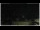 Webcam in Campora San Giovanni, 16.9 km