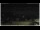 Webcam in Campora San Giovanni, 55.1 km entfernt