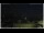 Webcam in Campora San Giovanni, 4.1 km