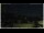 Webcam in Campora San Giovanni, 54.7 km entfernt