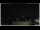 Webcam in Campora San Giovanni, 19.4 km entfernt