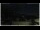 Webcam in Campora San Giovanni, 15.9 mi away