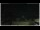 Webcam in Campora San Giovanni, 41.3 km entfernt