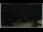 Webcam in Campora San Giovanni, 21.3 mi away