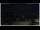 Webcam in Campora San Giovanni, 20.4 mi away