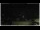 Webcam in Campora San Giovanni, 16 mi away