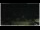 Webcam in Campora San Giovanni, 55.1 km