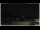 Webcam in Campora San Giovanni, 41.3 km entfernt