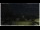Webcam in Campora San Giovanni, 1.6 mi away