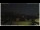 Webcam in Campora San Giovanni, 41.3 km