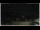 Webcam in Campora San Giovanni, 16.9 km