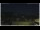 Webcam in Campora San Giovanni, 16 mi away