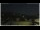 Webcam in Campora San Giovanni, 0.5 km