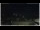 Webcam in Campora San Giovanni, 41.6 km