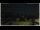 Webcam in Campora San Giovanni, 16.9 km entfernt