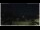 Webcam in Campora San Giovanni, 21.1 mi away