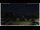 Webcam in Campora San Giovanni, 55.1 km entfernt