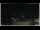 Webcam in Campora San Giovanni, 46.6 km entfernt
