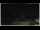 Webcam in Campora San Giovanni, 15.9 mi away