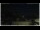 Webcam in Campora San Giovanni, 4.1 km entfernt