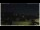 Webcam in Campora San Giovanni, 27.4 km entfernt