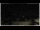 Webcam in Campora San Giovanni, 20.4 mi away
