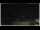Webcam in Campora San Giovanni, 54.7 km