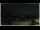 Webcam in Campora San Giovanni, 55.1 km