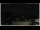 Webcam in Campora San Giovanni, 95.4 km