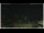 Webcam in Campora San Giovanni, 46.5 km
