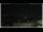 Webcam in Campora San Giovanni, 4.1 km