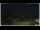 Webcam in Campora San Giovanni, 4.1 km entfernt
