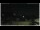 Webcam in Campora San Giovanni, 4.1 km entfernt