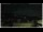 Webcam in Campora San Giovanni, 46.6 km