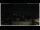 Webcam in Campora San Giovanni, 47.3 km