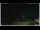 Webcam in Campora San Giovanni, 21.7 km