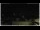 Webcam in Campora San Giovanni, 23.9 km