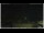 Webcam in Campora San Giovanni, 46.5 km