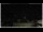 Webcam in Campora San Giovanni, 28.8 km