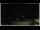 Webcam in Campora San Giovanni, 11.1 mi away